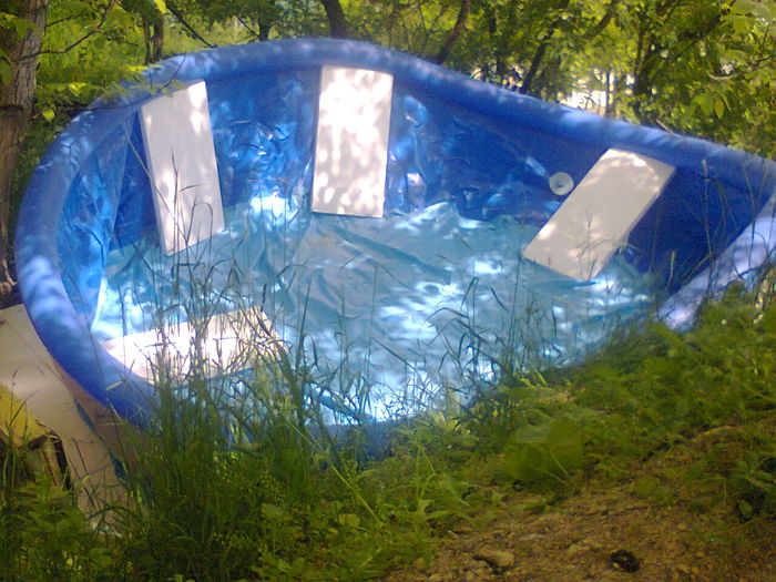 Fotografie1413 - Piscina de la gradina