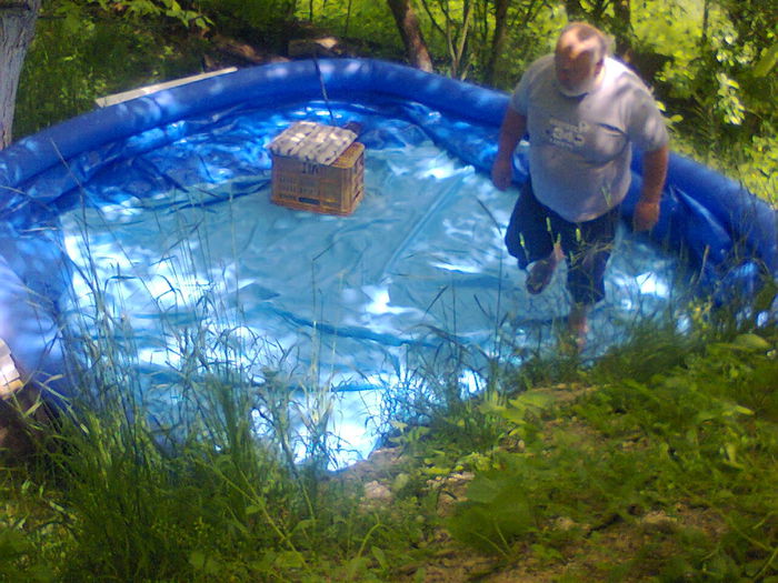 Fotografie1408 - Piscina de la gradina