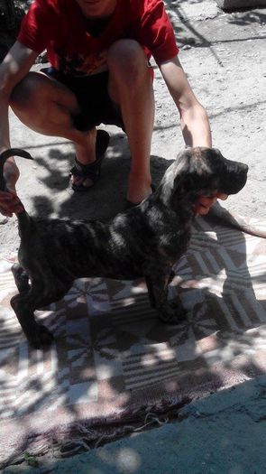 11256419_889976501064096_2055537619_n