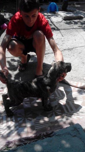 11261451_889976524397427_607222267_n