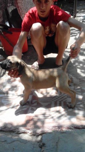 11263859_889976481064098_56192130_n