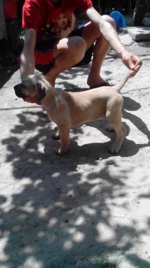 11272319_889976091064137_1062982017_n