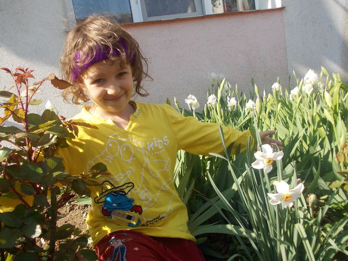 narcise,stanjenei albi si..mica