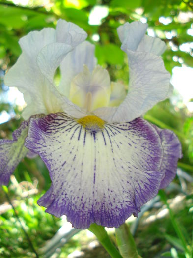 Spinning Wheel, 18.05.2015