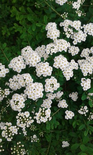 20150515_102808