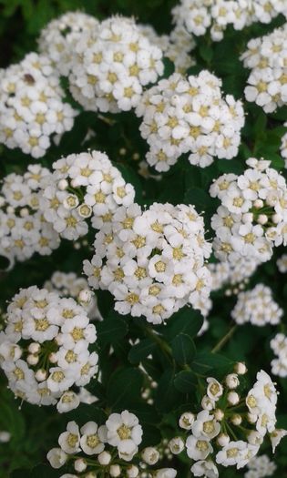 20150515_102814