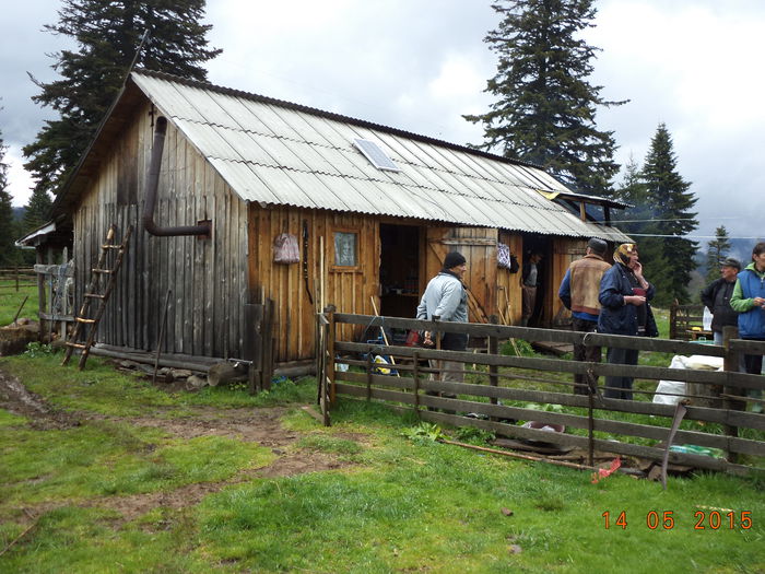 Stana din Dealul Alb-71