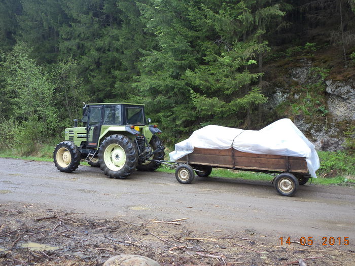Tractorasul incarcat - Urcatul la stana cu vacile in Dealul Alb-2015