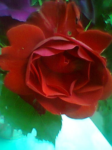 Fotogr.2282
