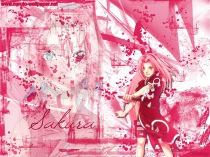 sakura - album pentru sakuralovesasuke