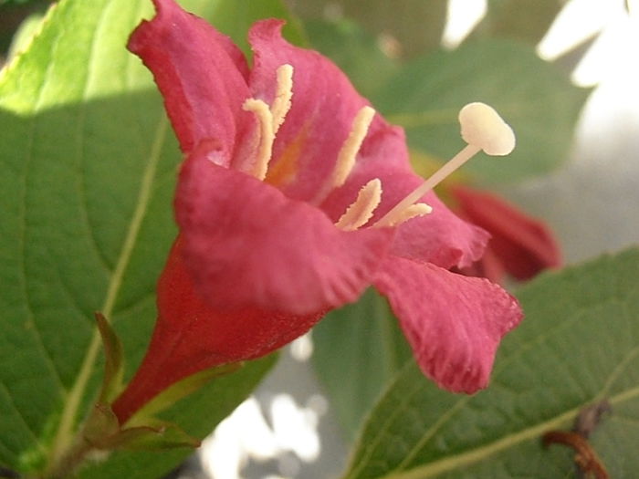 P5200081