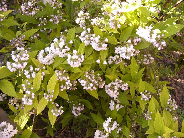P1240049