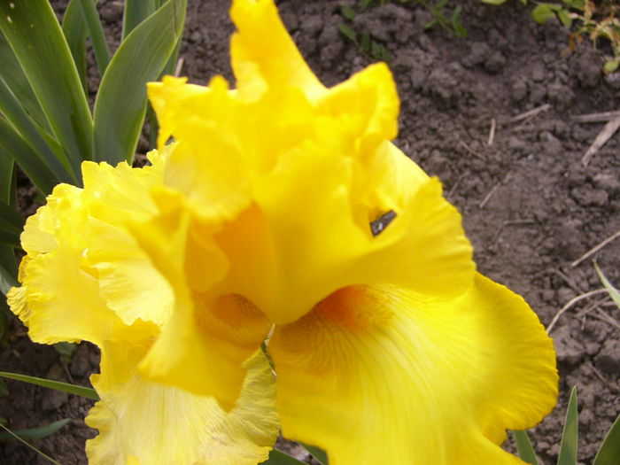 P1240080 - ANUL 2015 I