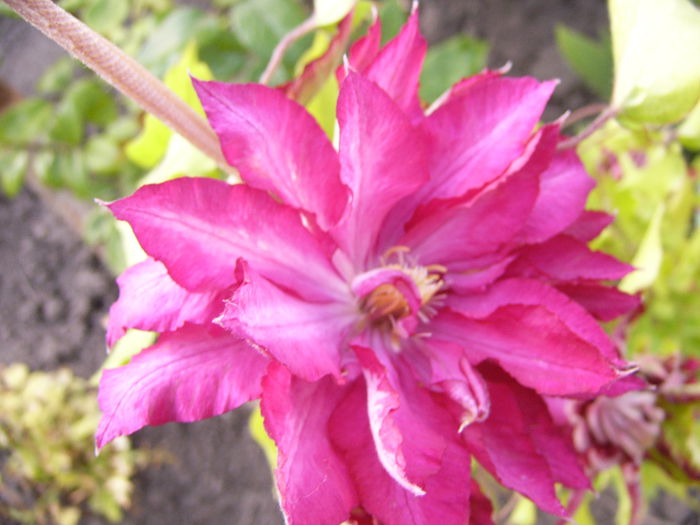 P1240102