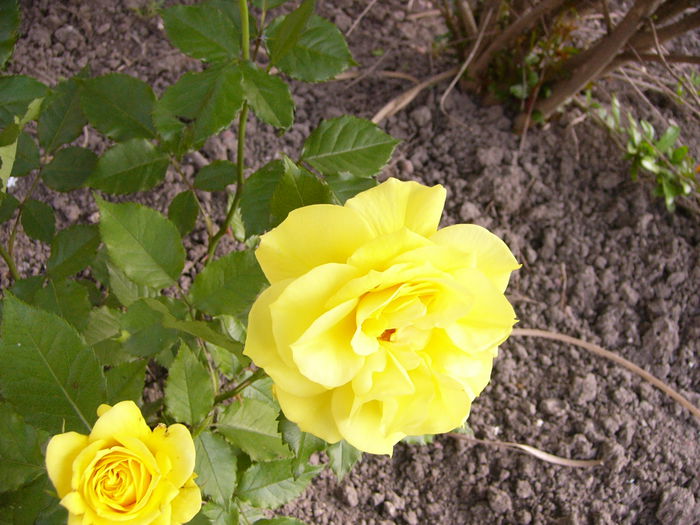 P1240103
