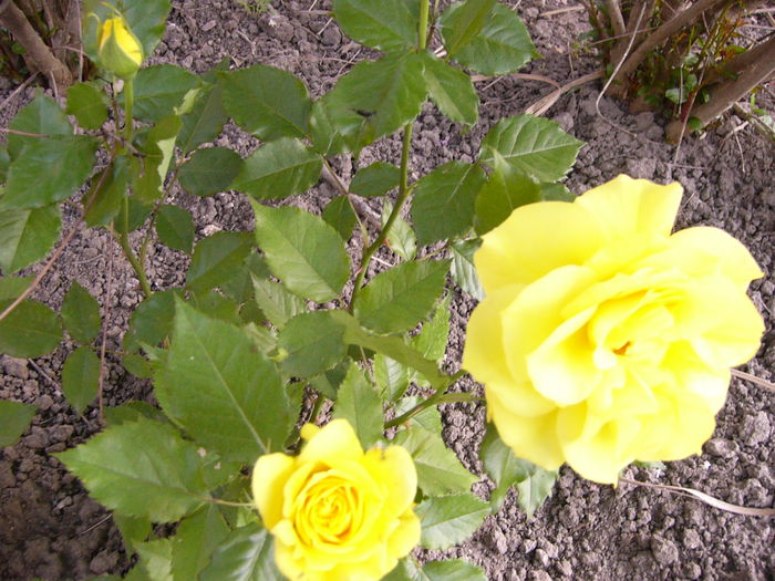 P1240104