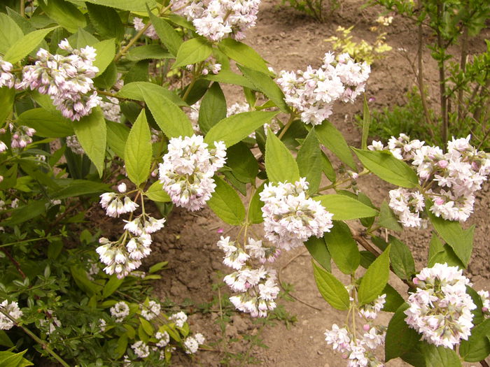 P1240154