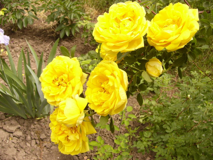 P1240156