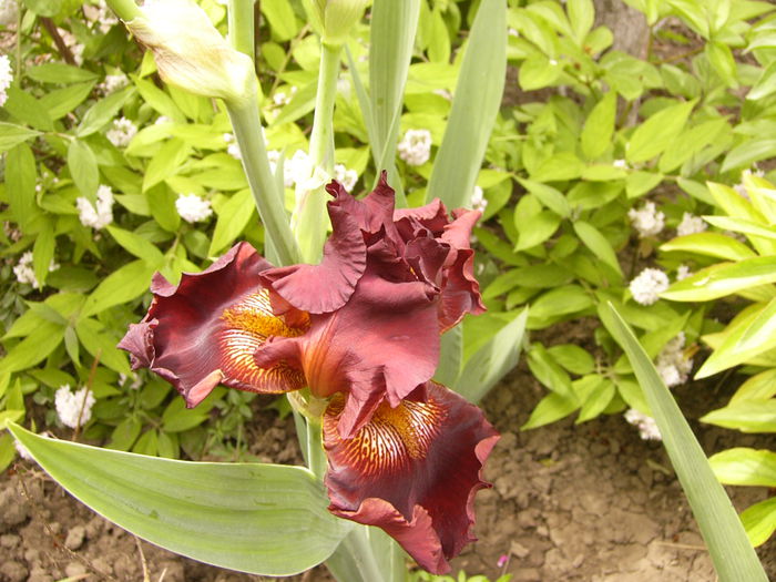 P1240160