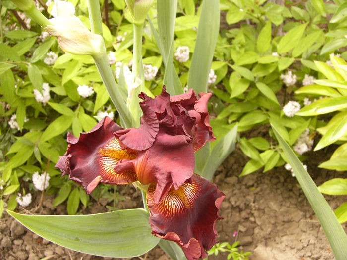 P1240161