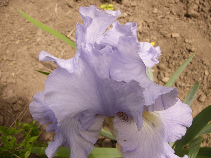 P1240163