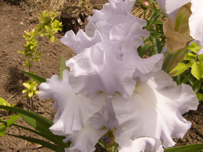 P1240164