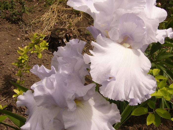 P1240166