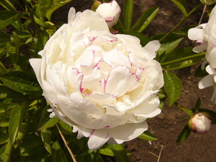 P1240172