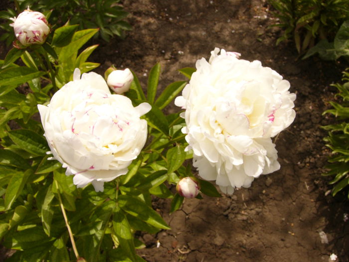 P1240173