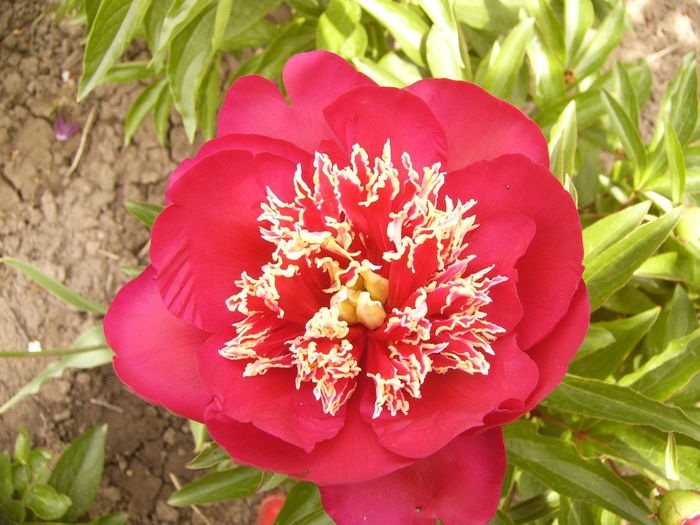 P1240175