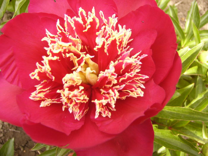 P1240176