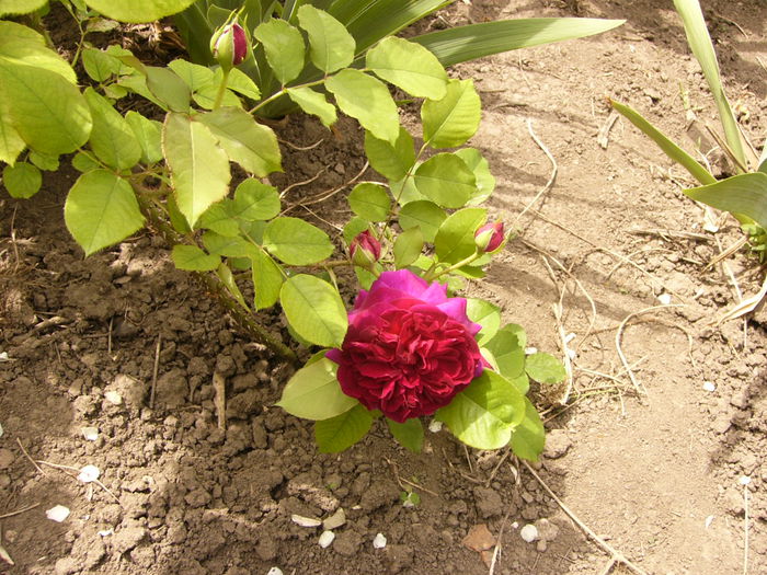 P1240192