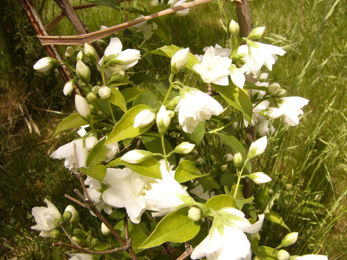 P1240200