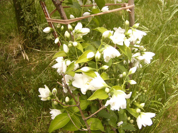 P1240202