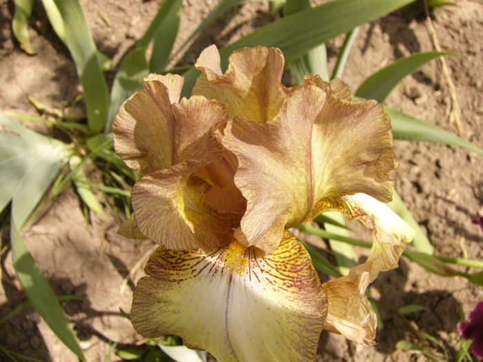 P1240217