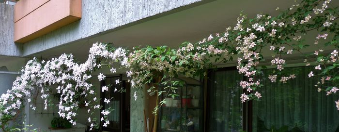 ; P1600187 (1024x401)
