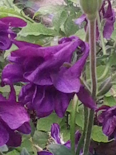 IMG_20150520_181439