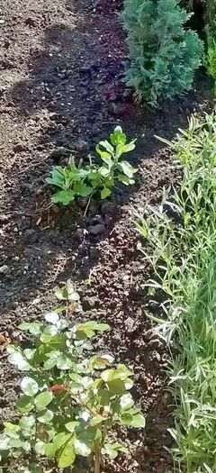 WP_20150503_10_07_51_Pro