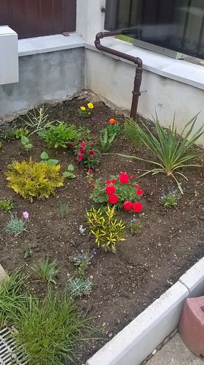 WP_20150516_09_19_19_Pro