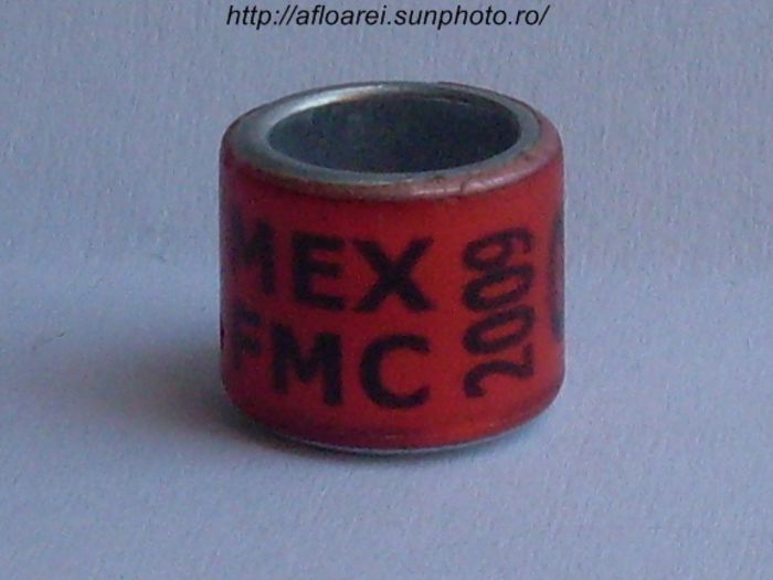 mex fmc 2009 - MEXIC