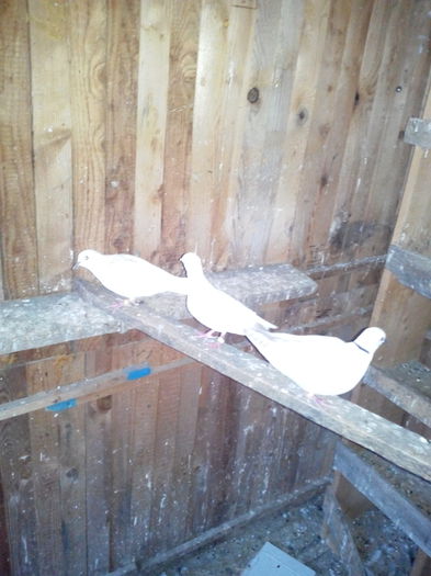 IMG_20150520_203917224