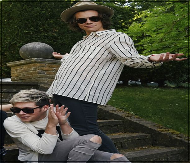 ❝ _ NARRY * heart * | Alexiie _ ❝