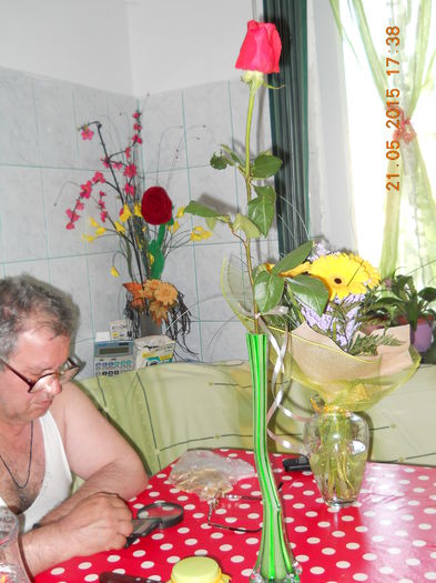 035 - SPLENDORILE VERII 2015