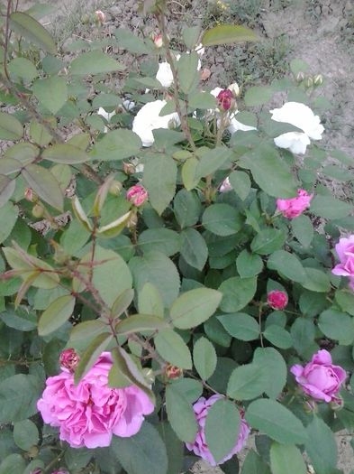 20150521_202217