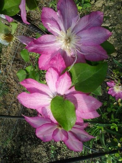 20150516_083028