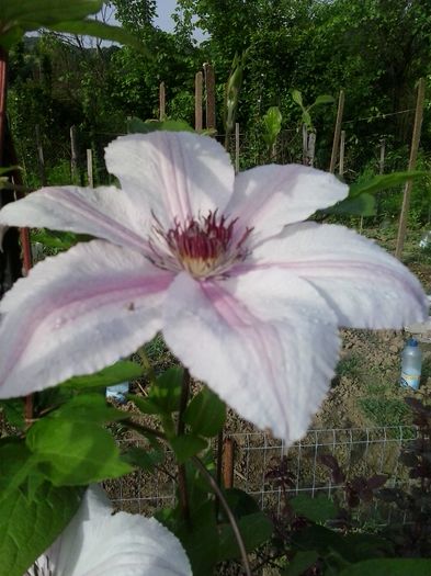 20150516_083050