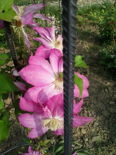 20150516_083112