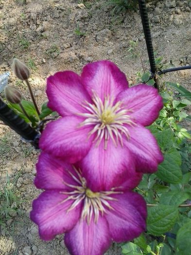20150521_174703