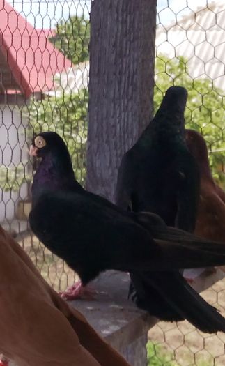 IMG_20150510_130755-1