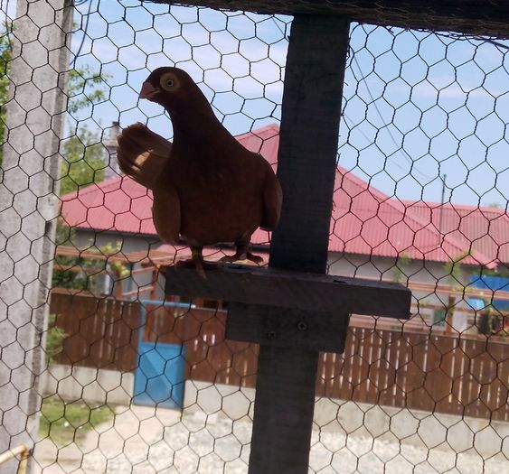 IMG_20150510_130726-1